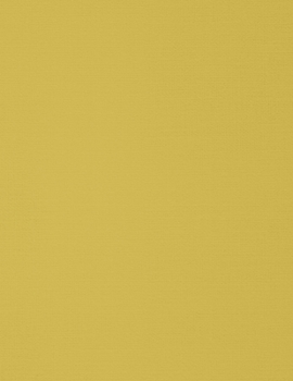 Notebook: 8.5 x 11 inches, lined paper, 110 pages (yellow notebook/journal/composition book).