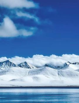 Paperback Notebook Large 8.5 x 11 150 Ruled Pages Book