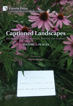 Hardcover Captioned Landscapes: Intermedial Combinations Beyond the Human: Volume 1: Places Book
