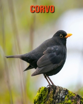 Corvo: Fantastici fatti e immagini
