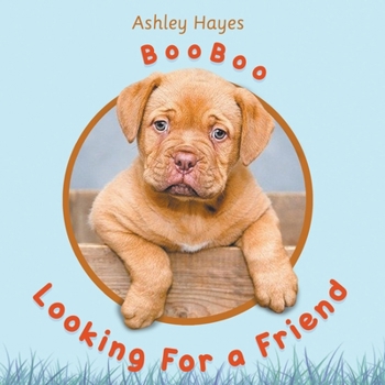 Paperback Booboo Looking for a Friend Book