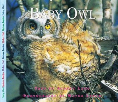 Baby Owl (Nature Babies) - Book  of the Nature Babies