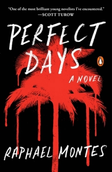 Paperback Perfect Days Book