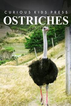 Paperback Ostrich - Curious Kids Press Book