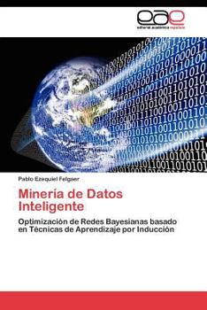 Paperback Minería de Datos Inteligente [Spanish] Book