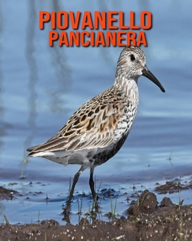 Piovanello Pancianera: Immagini bellissime e fatti interessanti Libro per bambini sui Piovanello Pancianera