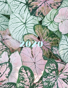 2020: 2020 Blank A4 Journal Lined