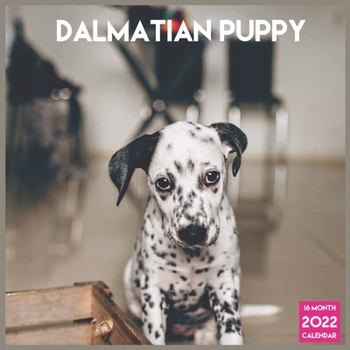 Dalmatian puppy 2022 Calendar: Offcial Dalmatian Dog breed 2022 Calendar 16 Months