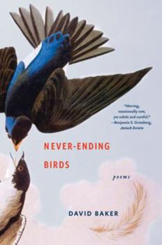 Paperback Never-Ending Birds: Poems Book