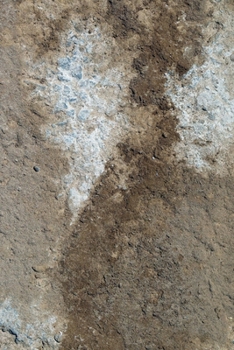 Happy Birthday Book: Happy Birthday Gifts Lined Journal Notebook  (712)  | Journal For Women, Friend Coworker  Birthday Gifts | Funny Gag Gift | Funny ... | 21 Birthday Gag Gifts For Best Friend)