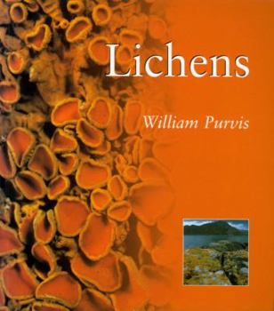 Paperback Lichens: Lichens Book