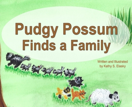 Hardcover Pudgy Possum Finds a Family Book