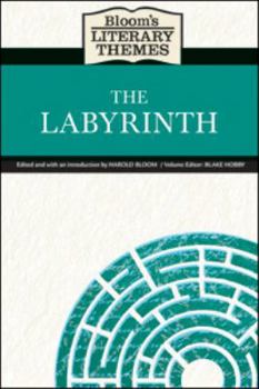 Hardcover The Labyrinth Book