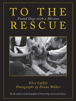 Hardcover To the Rescue: Found Dogs with a Mission Book
