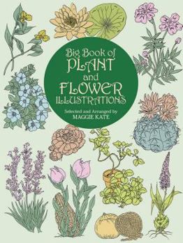 Paperback Big Book of Plant and Flower Illustrations Book