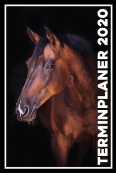 Terminplaner 2020: Jahresplaner von September 2019 bis Dezember 2020 mit Pferd - Planer mit 174 Seiten in wei� im Format A5 mit gl�nzendem Soft Cover.