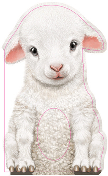 Furry Lamb: A Mini Touch and Feel Book for Babies and Newborns (Sweet Shower Gift, Sensory Baby Animals Book)