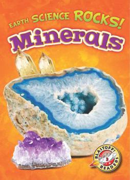 Minerals - Book  of the Earth Science Rocks!