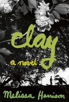 Hardcover Clay Book