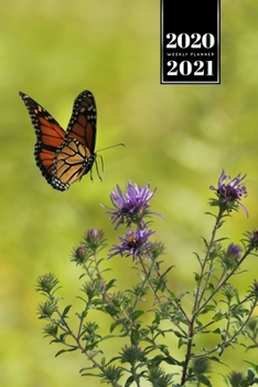 Butterfly Butterflies Insect Week Planner Weekly Organizer Calendar 2020 / 2021 - Landing Approach: Cute Wildlife Animal Pet Bullet Journal Notebook Diary in 6” x 9” Inch Pocket Size