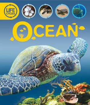 Hardcover Ocean Book