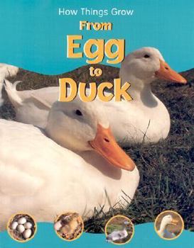 From Egg to Duck (How Things Grow)