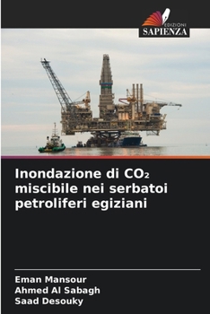 Inondazione di CO2 miscibile nei serbatoi petroliferi egiziani (Italian Edition)