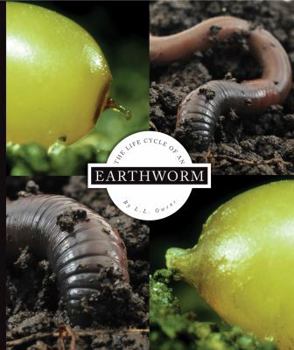 Library Binding The Life Cycle of an Earthworm Book