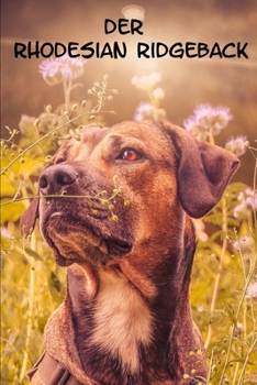 Paperback Der Rhodesian Ridgeback: Ratgeber Erziehung Ernährung Urlaub Basiswissen Welpe Krankheiten Beschäftigung Futter Krankheiten [German] Book