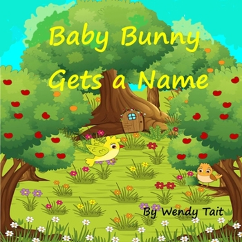 Paperback Baby Bunny Gets a Name Book
