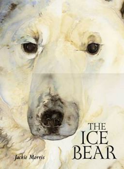 Hardcover The Ice Bear Book