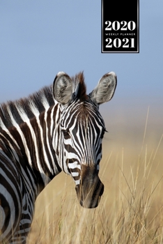 Paperback Zabra Safari Africa Savannah Week Planner Weekly Organizer Calendar 2020 / 2021 - On Wheat Field: Cute Wildlife Animal Pet Bullet Journal Notebook Dia Book