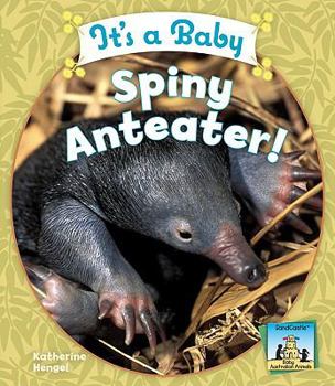 Library Binding It's a Baby Spiny Anteater! Book