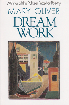 Paperback Dream Work Book