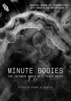 Minute Bodies