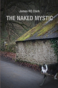 Paperback The Naked Mystic Book
