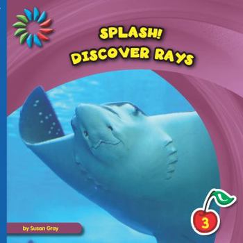 Paperback Discover Rays Book