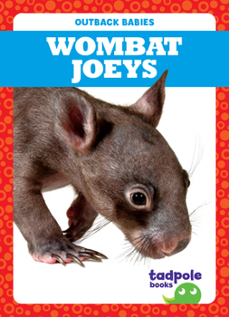 Paperback Wombat Joeys Book