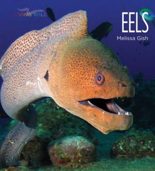 Eels - Book  of the Living Wild