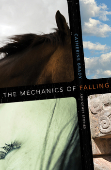 Hardcover The Mechanics of Falling and Other Stories Book