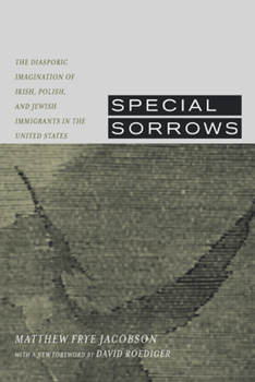Paperback Special Sorrows: The Diasporic Imagination of Irish, Polish, and Jewish Immigrants in the United States Book
