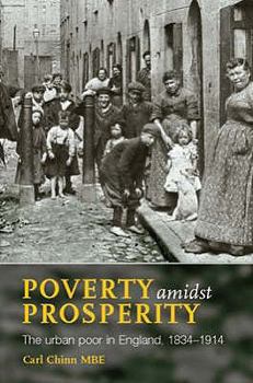 Poverty Amidst Prosperity: The Urban Poor in England, 1834 1914 - Book  of the New Frontiers in History