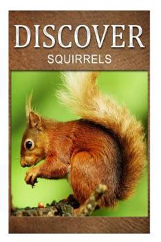 Paperback Squirrel - Discover: Early reader's wildlife photography book