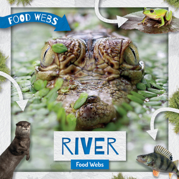 Paperback River Food Webs Book