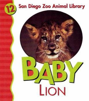 Board book Baby Lion Book