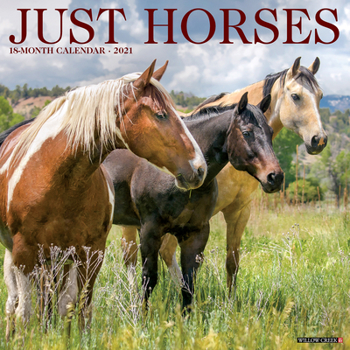 Calendar Just Horses 2021 Wall Calendar Book
