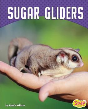 Sugar Gliders - Book  of the Cute and Unusual Pets