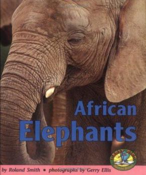 Hardcover African Elephants Book