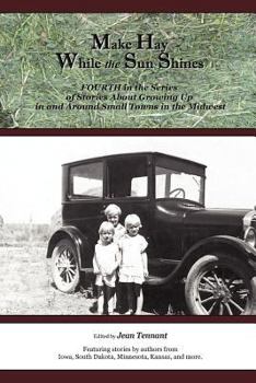 Paperback Make Hay While the Sun Shines: Fourth in the Series of Stories About Growing Up in and Around Small Towns in the Midwest Book