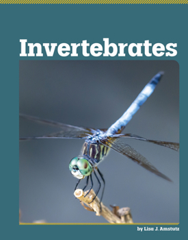 Library Binding Invertebrates Book
